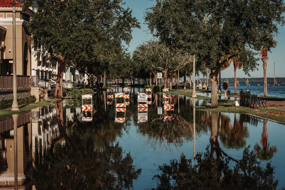 Sewage & Black Water Cleanup in Temecula, CA
